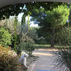 La Maison Des Voyageurs Arles